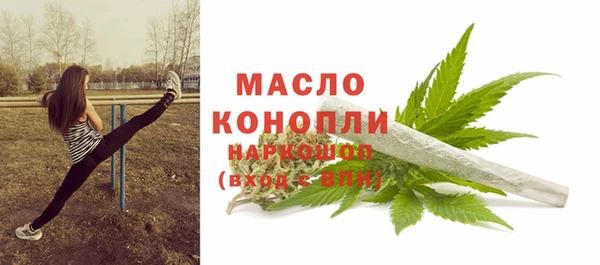 mix Богородицк